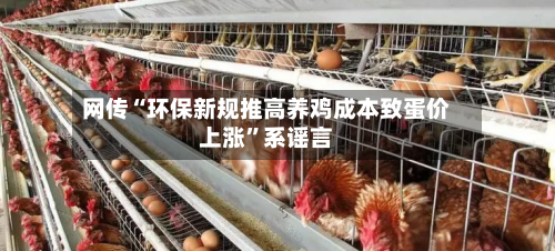 网传“环保新规推高养鸡成本致蛋价上涨”系谣言-第3张图片
