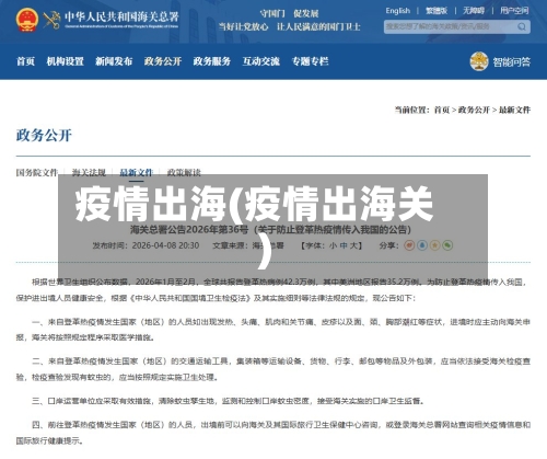 疫情出海(疫情出海关)