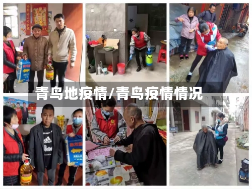 青鸟地疫情/青鸟疫情情况