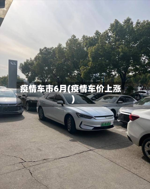 疫情车市6月(疫情车价上涨)-第3张图片