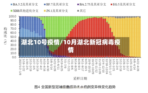 湖北10号疫情/10月湖北新冠病毒疫情-第2张图片