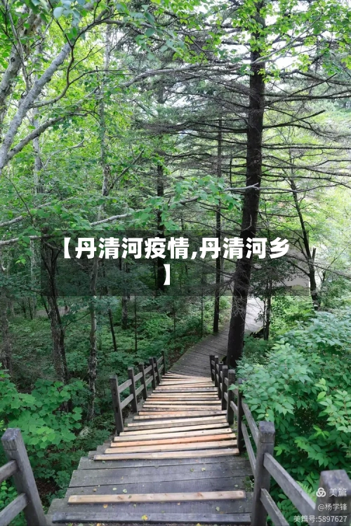 【丹清河疫情,丹清河乡】