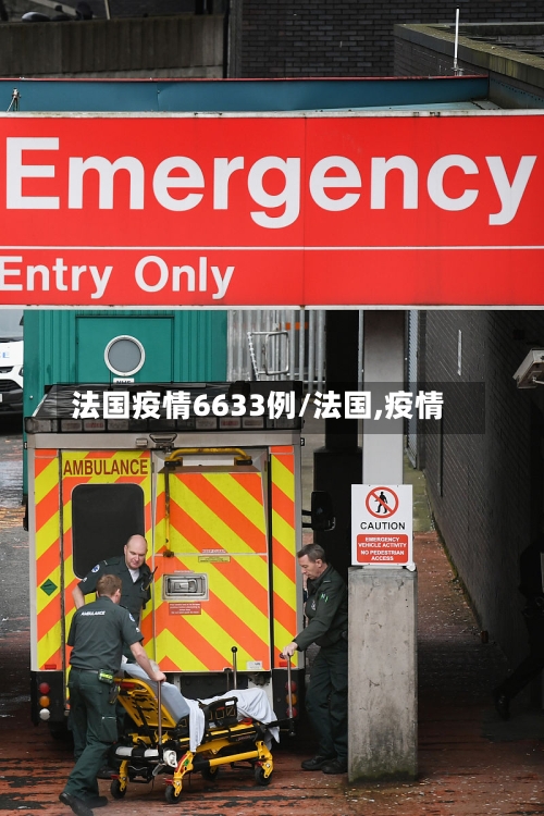 法国疫情6633例/法国,疫情