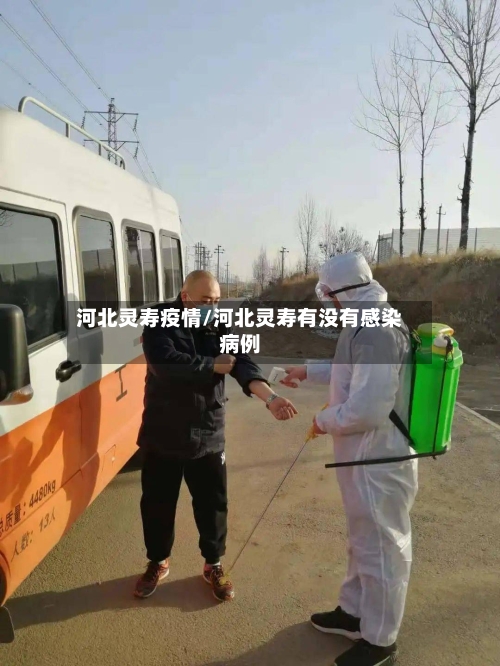 河北灵寿疫情/河北灵寿有没有感染病例