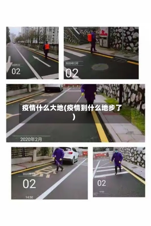 疫情什么大地(疫情到什么地步了)