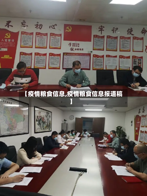 【疫情粮食信息,疫情粮食信息报道稿】