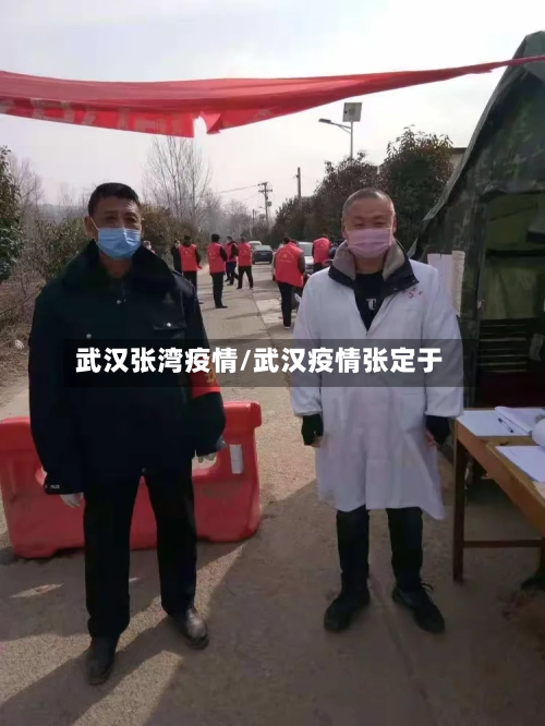 武汉张湾疫情/武汉疫情张定于