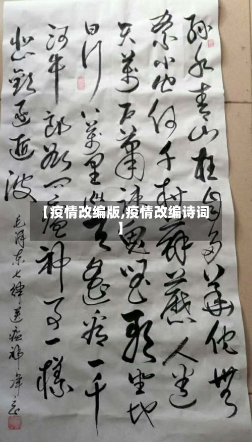 【疫情改编版,疫情改编诗词】