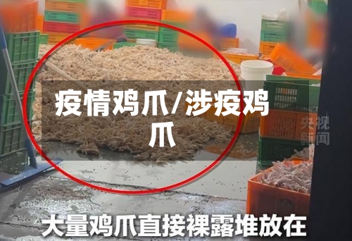 疫情鸡爪/涉疫鸡爪