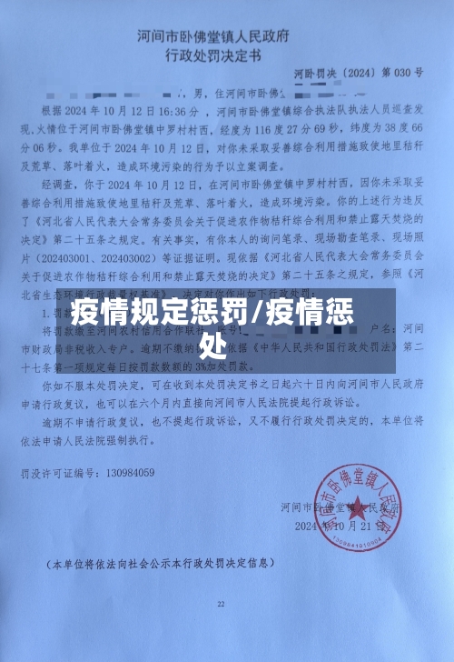 疫情规定惩罚/疫情惩处-第3张图片