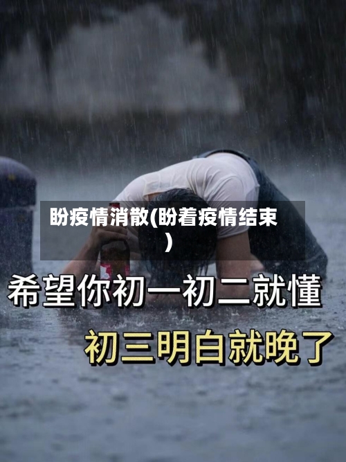 盼疫情消散(盼着疫情结束)