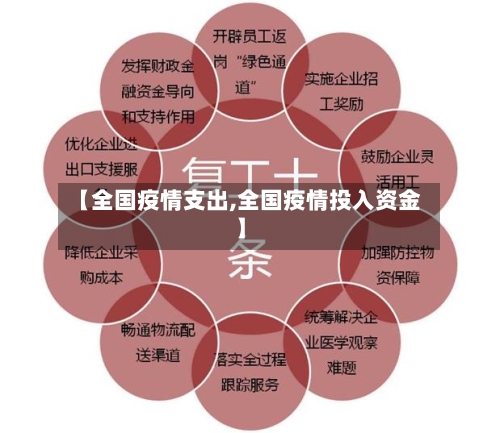 【全国疫情支出,全国疫情投入资金】-第3张图片