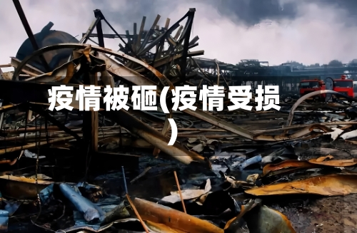疫情被砸(疫情受损)-第2张图片