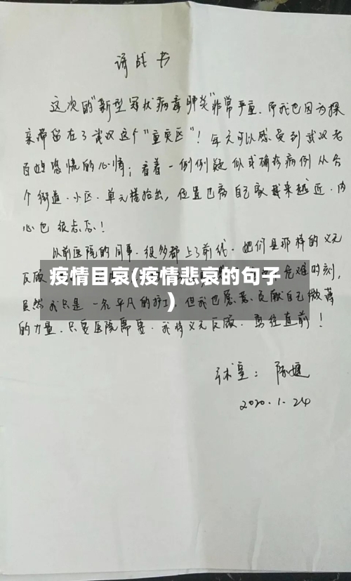 疫情目哀(疫情悲哀的句子)