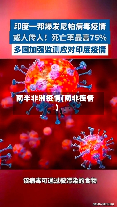 南半非洲疫情(南非疾情)-第2张图片