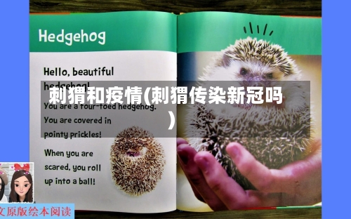 刺猬和疫情(刺猬传染新冠吗)-第2张图片
