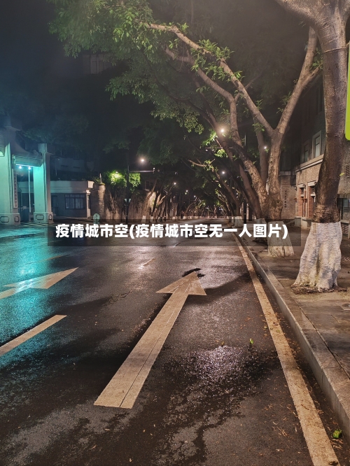 疫情城市空(疫情城市空无一人图片)