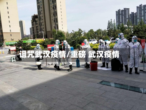 诅咒武汉疫情/重磅 武汉疫情-第2张图片
