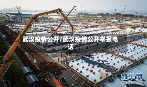 武汉疫情公开/武汉疫情公开举报电话