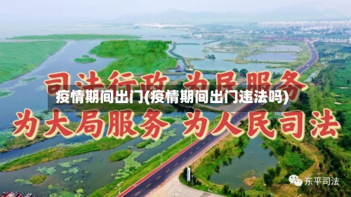 疫情期间出门(疫情期间出门违法吗)