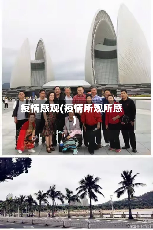 疫情感观(疫情所观所感)