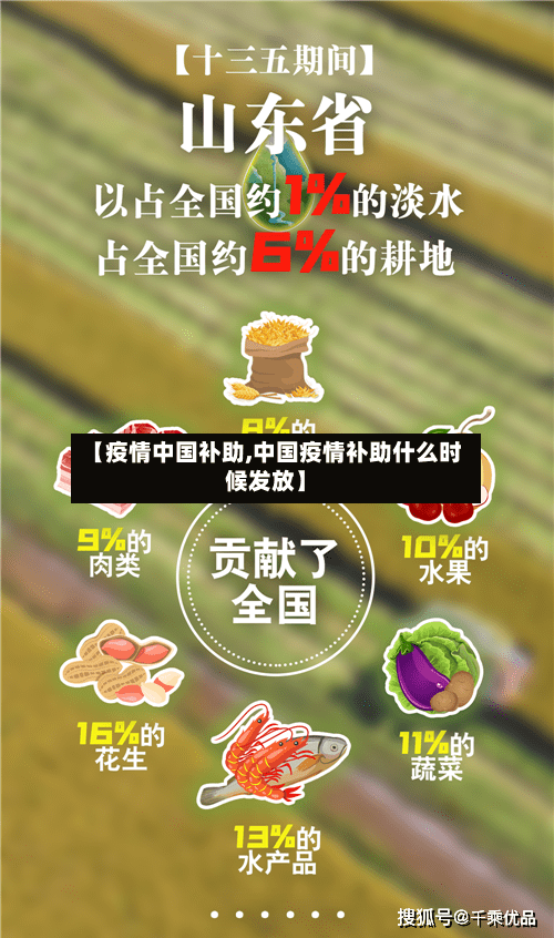 【疫情中国补助,中国疫情补助什么时候发放】-第2张图片