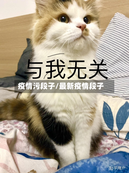 疫情污段子/最新疫情段子