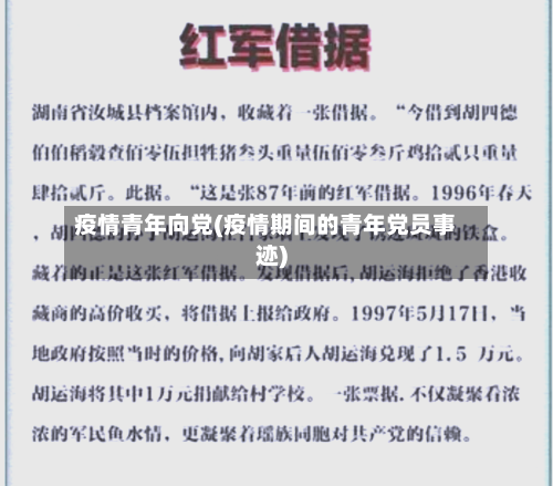 疫情青年向党(疫情期间的青年党员事迹)