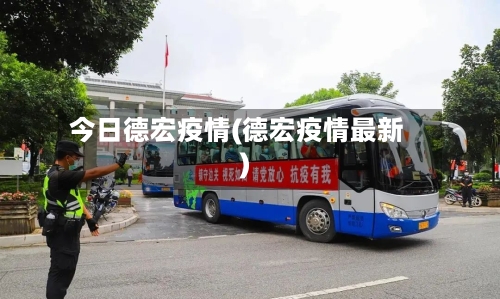 今日德宏疫情(德宏疫情最新)-第2张图片