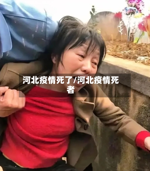 河北疫情死了/河北疫情死者-第2张图片