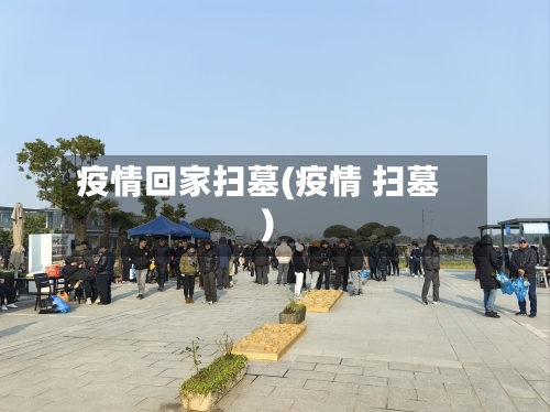 疫情回家扫墓(疫情 扫墓)-第2张图片