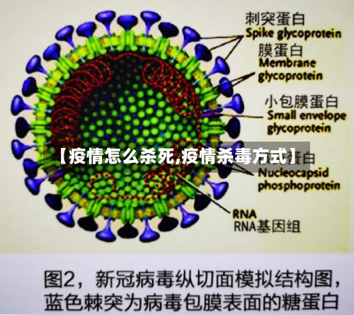 【疫情怎么杀死,疫情杀毒方式】