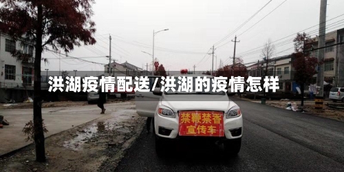 洪湖疫情配送/洪湖的疫情怎样-第3张图片