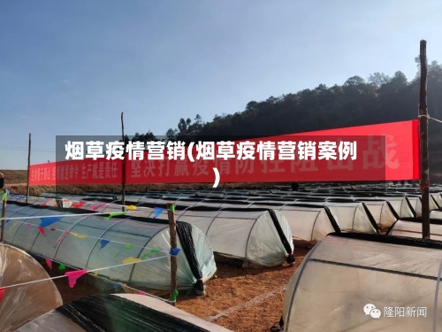 烟草疫情营销(烟草疫情营销案例)-第2张图片