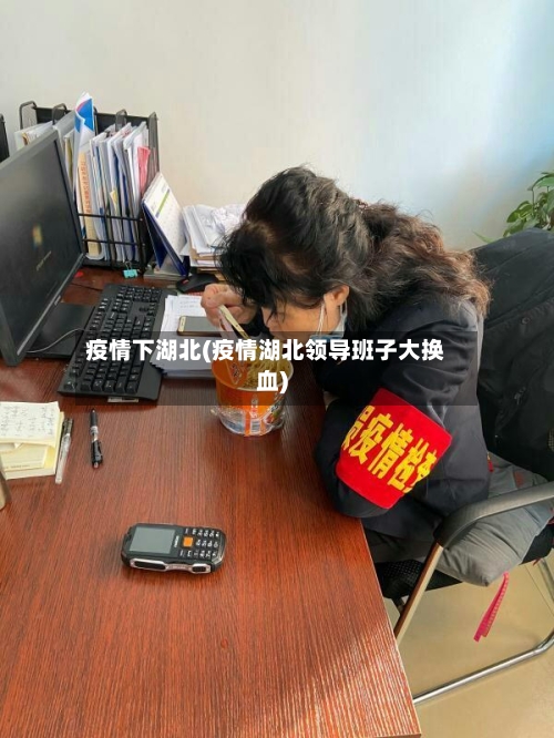 疫情下湖北(疫情湖北领导班子大换血)-第3张图片