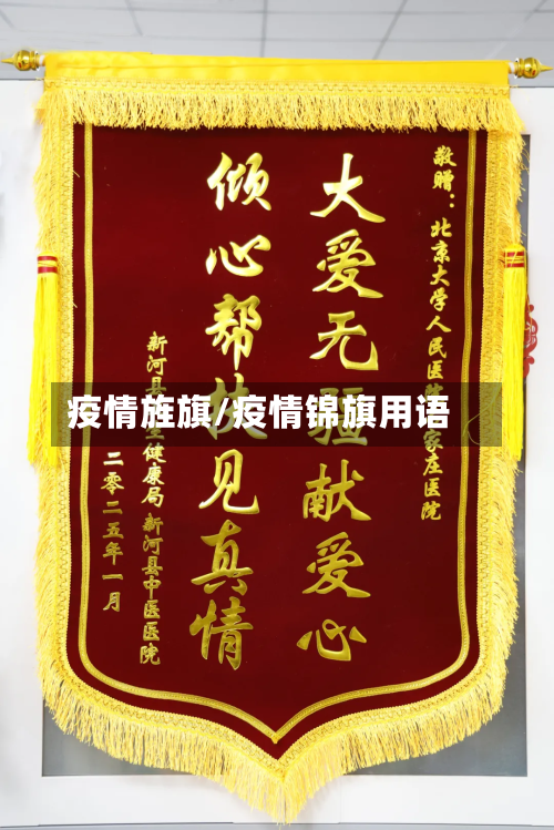 疫情旌旗/疫情锦旗用语-第2张图片