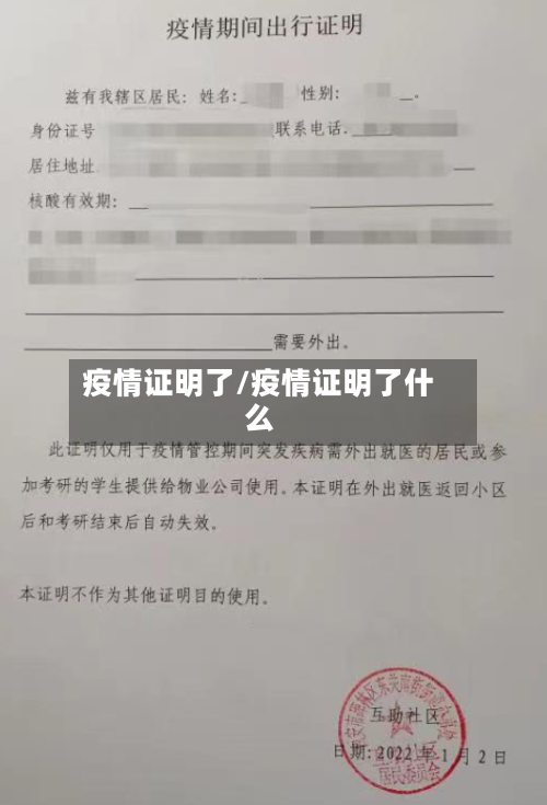 疫情证明了/疫情证明了什么-第3张图片