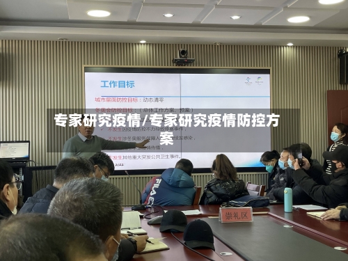 专家研究疫情/专家研究疫情防控方案
