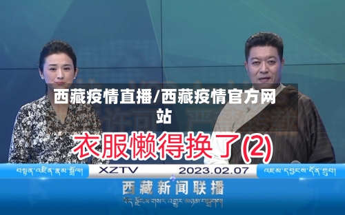 西藏疫情直播/西藏疫情官方网站-第3张图片