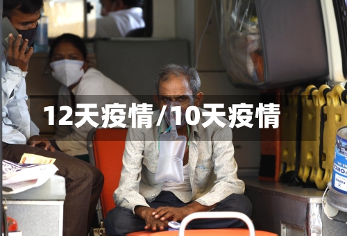 12天疫情/10天疫情-第2张图片