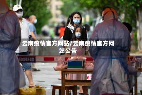 云南疫情官方网站/云南疫情官方网站公告-第2张图片