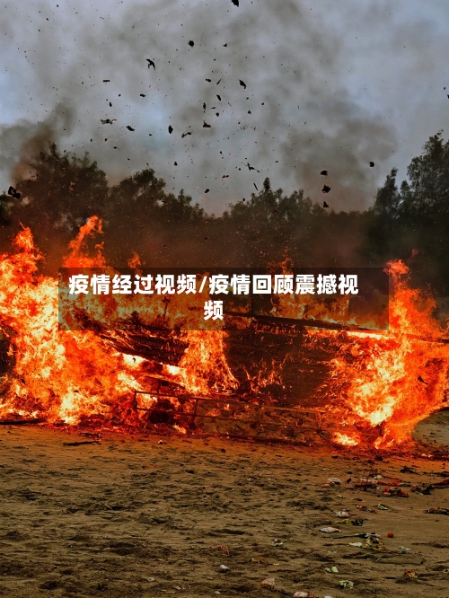 疫情经过视频/疫情回顾震撼视频-第2张图片