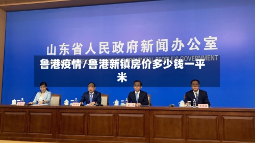 鲁港疫情/鲁港新镇房价多少钱一平米-第2张图片