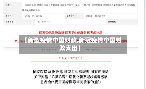 【新型疫情中国财政,新冠疫情中国财政支出】-第3张图片