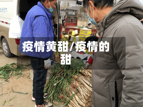 疫情黄甜/疫情的甜