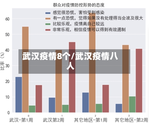 武汉疫情8个/武汉疫情八人