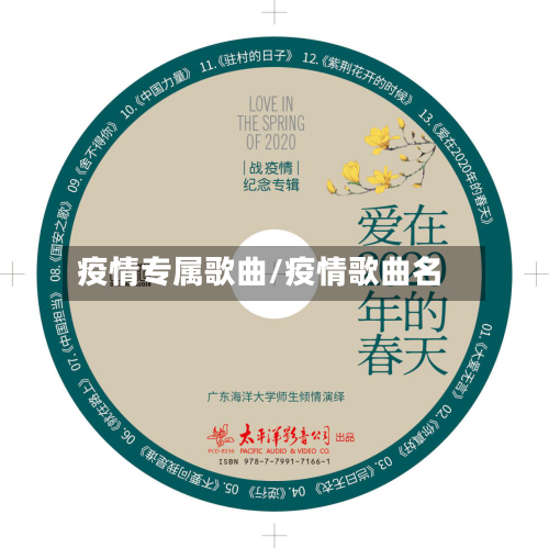 疫情专属歌曲/疫情歌曲名-第2张图片