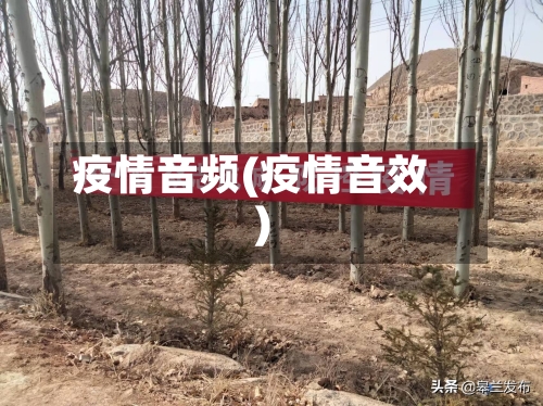 疫情音频(疫情音效)