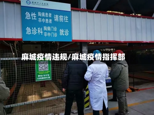 麻城疫情违规/麻城疫情指挥部-第2张图片