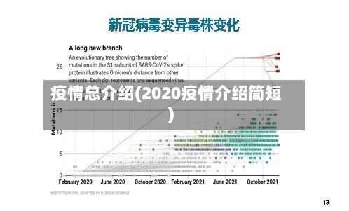 疫情总介绍(2020疫情介绍简短)-第3张图片